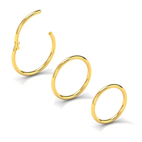 NewkeepsR Stahl 3 Stck-0,8mm Gold Eloxierte Klappbare Clicker Nasenreifenringe,316L Nahtlose Segment Schwellenohrringe Piercing-8/9/10mm von NewkeepsR