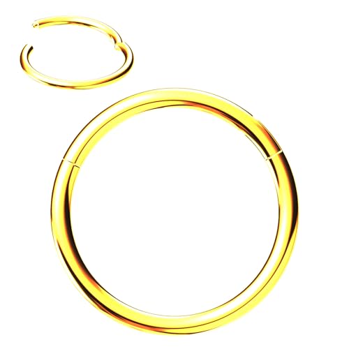 NewkeepsR Gold 0.8mmx10mm Titan Scharnier Segment Clicker nahtloser Nasenring, Tragus und Knorpel Piercing Ohrring für Damen von NewkeepsR