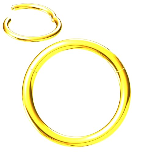 NewkeepsR Gold 1.6mmx9mm Titan Scharnier Segment Clicker nahtloser Nasenring, Tragus und Knorpel Piercing Ohrring für Damen von NewkeepsR