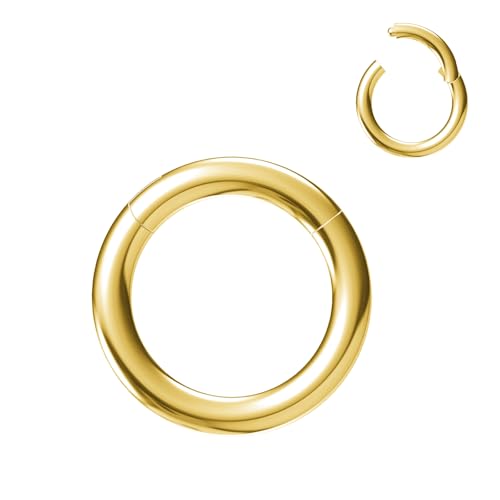 NewkeepsR Stahl 2.0mm Dicke 8mm Gold Eloxiertes PVD 316L Septum Klicksegment Orbital Conchringe mit großem Durchmesser NewkeepsR Stahl 2.0mm Dicke 8mm Gold Eloxiertes PVD 316L Septum Klicksegment Orbital Conchringe mit großem Durchmesser von NewkeepsR