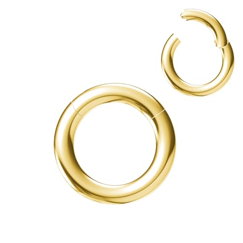NewkeepsR Stahl 2.5mm Dicke 8mm Gold Eloxiertes PVD 316L Septum Klicksegment Orbital Conchringe mit großem Durchmesser von NewkeepsR
