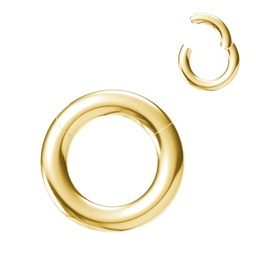 NewkeepsR Stahl 3.0mm Dicke 8mm Gold Eloxiertes PVD 316L Septum Klicksegment Orbital Conchringe mit großem Durchmesser von NewkeepsR