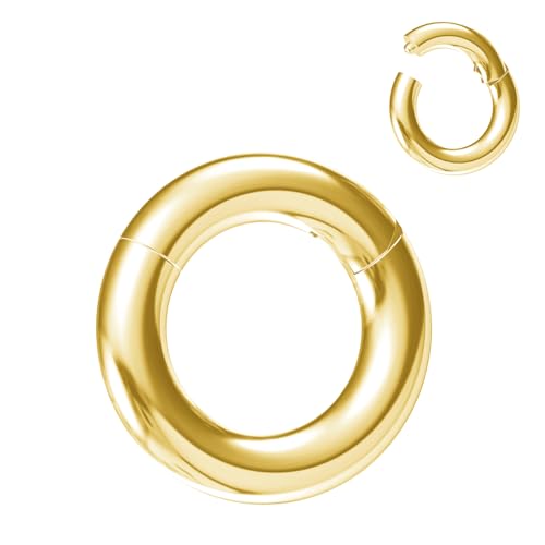 NewkeepsR Stahl 4.0mm Dicke 8mm Gold Eloxiertes PVD 316L Septum Klicksegment Orbital Conchringe mit großem Durchmesser von NewkeepsR