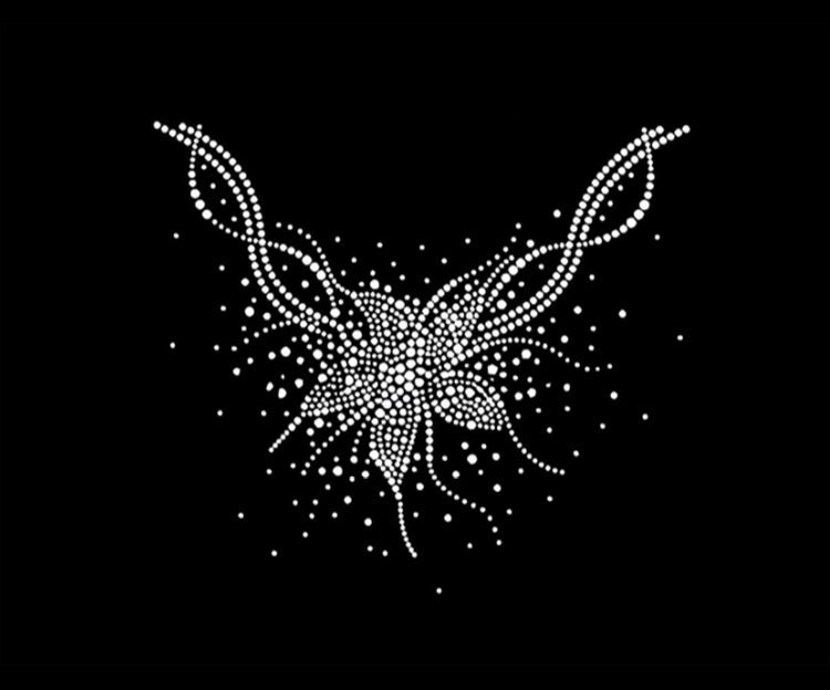 Blumen Halskette Strass Applikation Bling Hot Fix Aufnäher Motiv Design Transfer Tt-067 Blumen Halskette Strass Applikation Bling Hot Fix Aufnäher Motiv Design Transfer Tt-067 von Nextclover