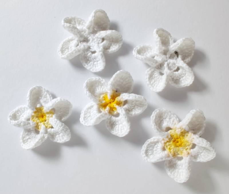 Kleine Gehäkelte Brosche Frangipani von NicasKunst