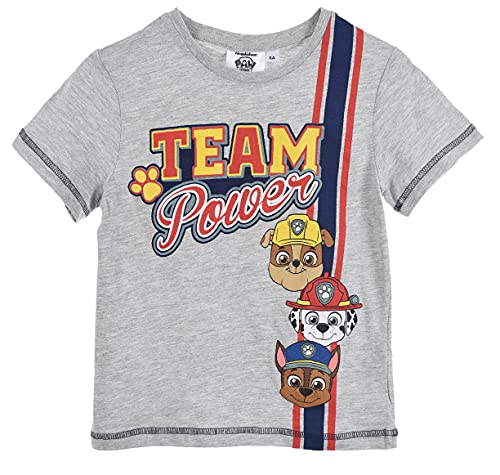 Paw Patrol Jungen Kurze Ärmel T Shirt (Hellgrau,4 Jahre) von Nickelodeon