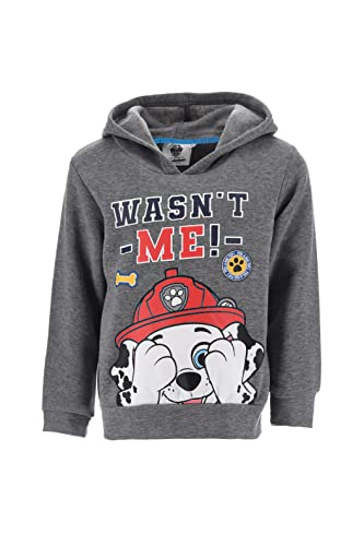 Paw Patrol Jungen Sweatshirt (Grau,3 Jahre) von Nickelodeon