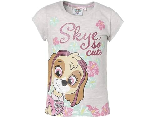 Skye und Everest T-Shirt (DE/NL/SE/PL, Numerisch, 104, Regular, grau) von Nickelodeon