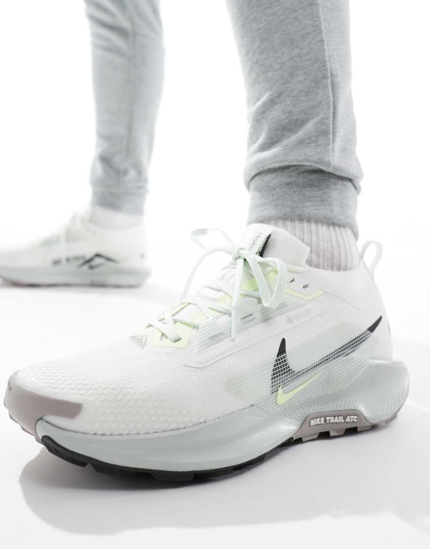 Nike Running - ReactX Pegasus Trail 5 GORE-TEX - Lauf-Sneaker in hellem Silber von Nike Running