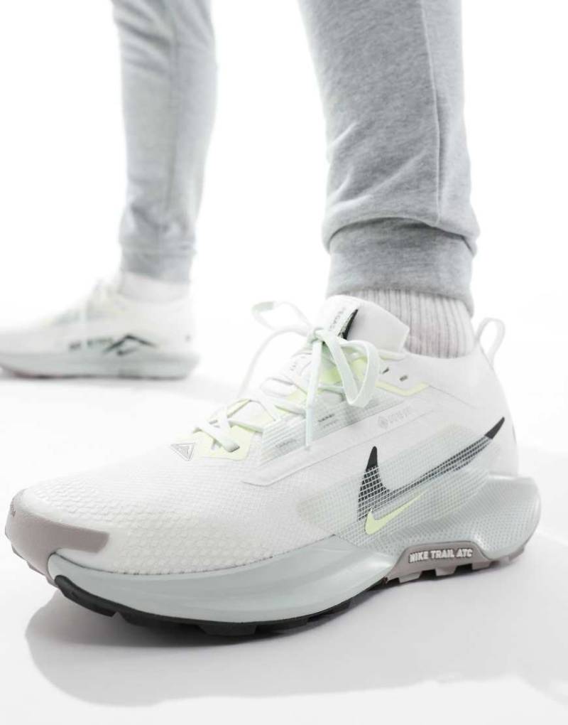Nike Running - ReactX Pegasus Trail 5 GORE-TEX - Lauf-Sneaker in hellem Silber von Nike Running