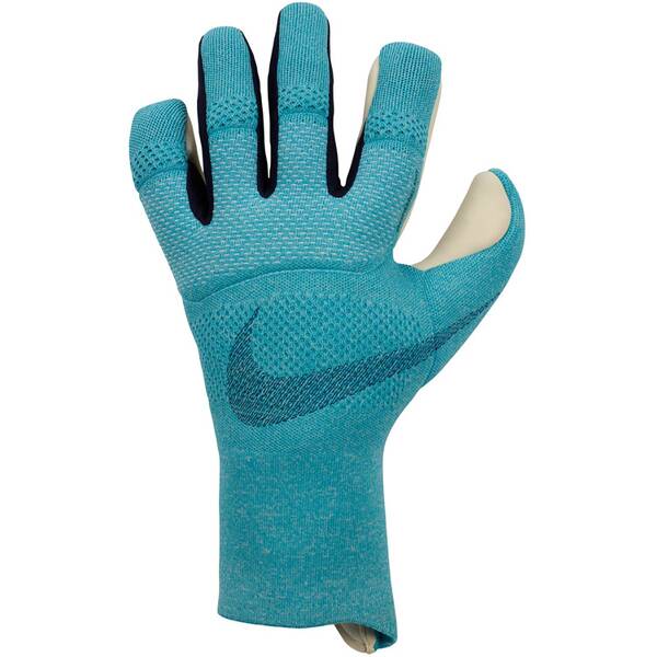 NIKE Herren Handschuhe Vapor Dynamic Fit Goalkeeper Gloves von Nike