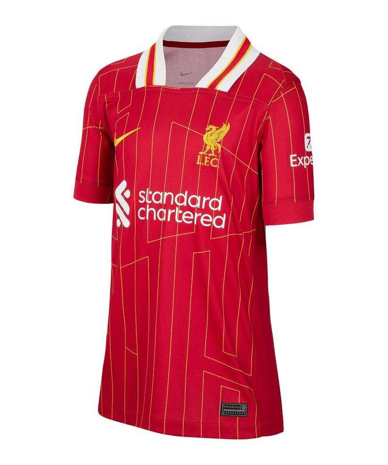 Nike Fußballtrikot Nike Performance Premier League von Nike