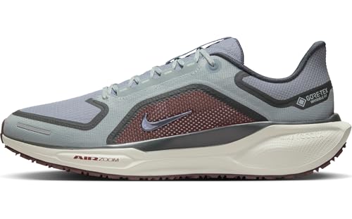 Nike Pegasus 41 Gore-TEX Wasserdichter Herren Straßenlaufschuh, Light Pumice/Ashen Slate-Burgundy Crush, 47 EU von Nike