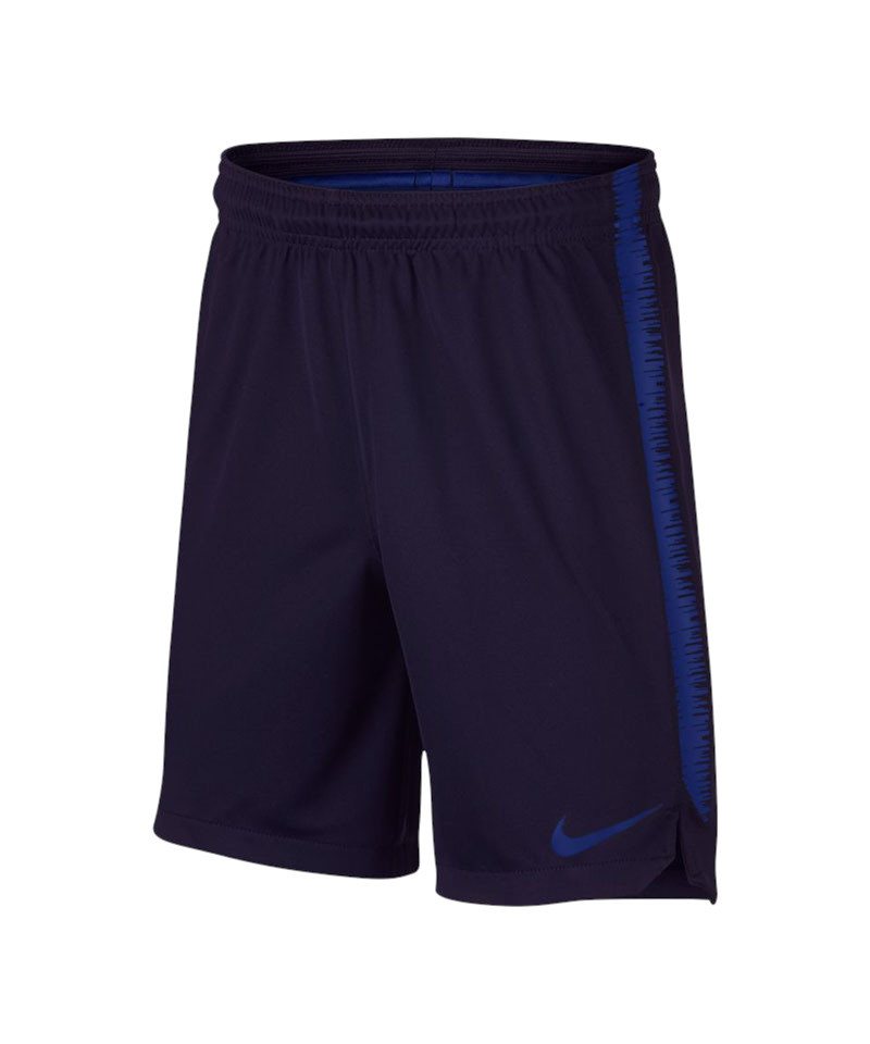 Nike Sporthose Nike Performance Dry Squad Short Kids Shorts von Nike