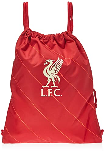 Nike Unisex Bag Lfc Nk Stadium Gmsk - Fa21, Gym Red/Bright Crimson/Fossil, DD1507-687, MISC von Nike