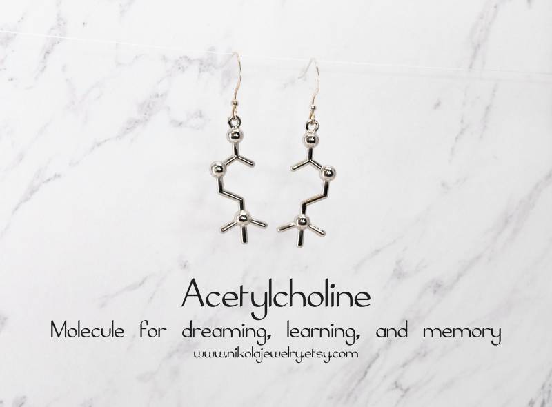 Acetylcholine Molecule Sterling Silber Ohrringe Wissenschaftliche Schmuck von NikolaJewelry