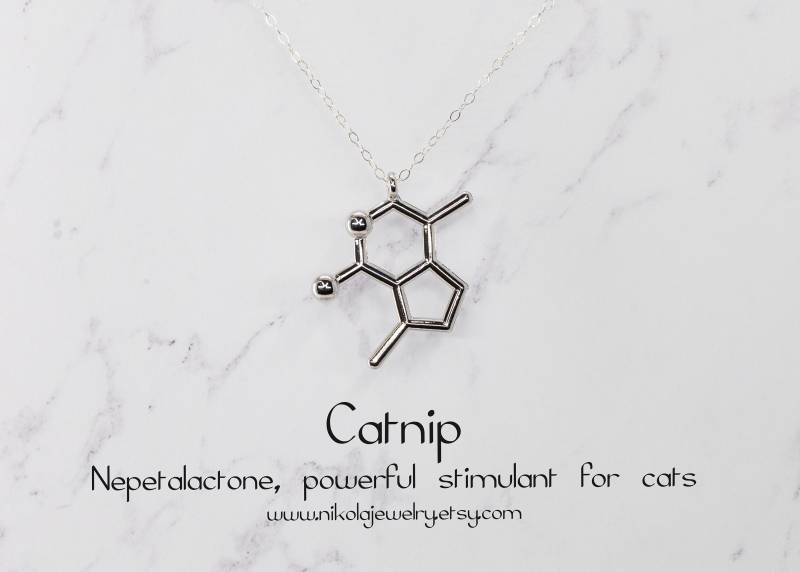 Katzenminze Molekül Kette Sterling Silber Geek Schmuck, Geschenk Für Die Wissenschaft von NikolaJewelry