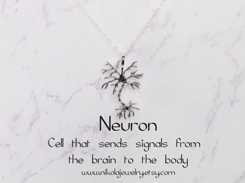 Neuron Halskette Sterling Silber Wissenschaft Schmuck, Biologie Geschenk von NikolaJewelry