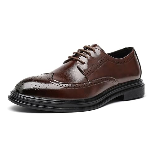 Ninepointninetynine Dress Oxford for Men Lace Up Pointed Burnished Toe Brogue Embossed Wing Tip Derby Shoes Block Heel Anti-Slip Slip Resistant Prom(Braun,45 EU) von Ninepointninetynine