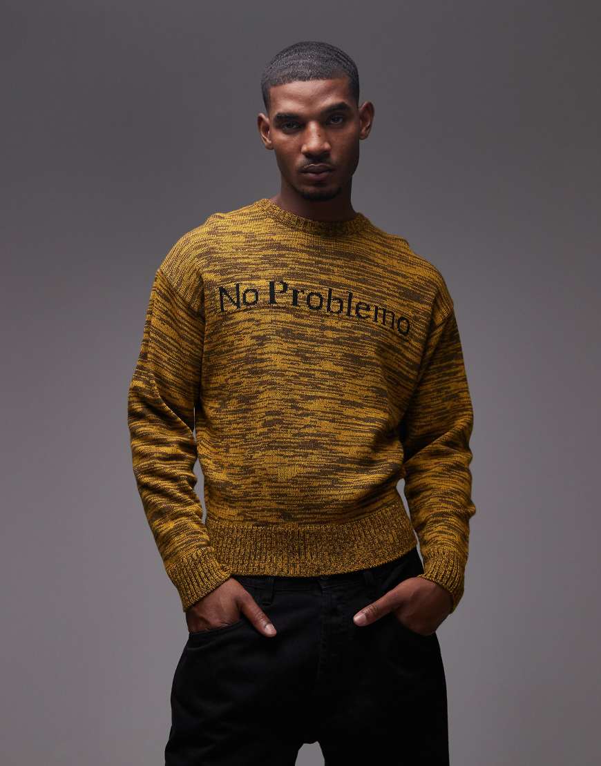 No Problemo - Mosca - Strickpullover in Brauntönen mit Rundhalsausschnitt und Logo No Problemo - Mosca - Strickpullover in Brauntönen mit Rundhalsausschnitt und Logo von No Problemo