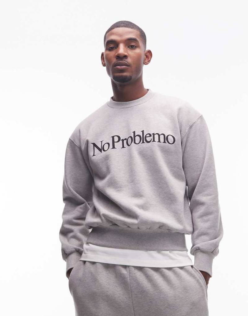 No Problemo - Baumwoll-Sweatshirt in meliertem Grau mit Logo von No Problemo