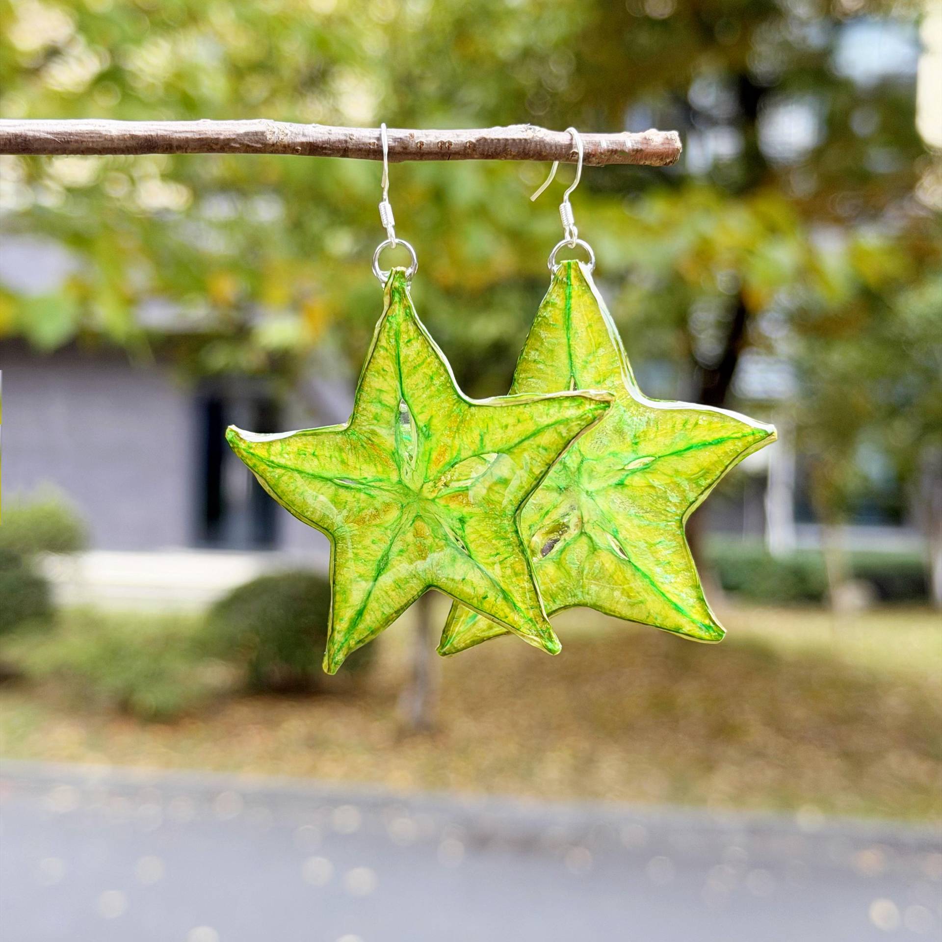 Real Carambola Star Slice Earrings, Resin Coated Fruit Dried Fruit, Pressed von NoaSchCo