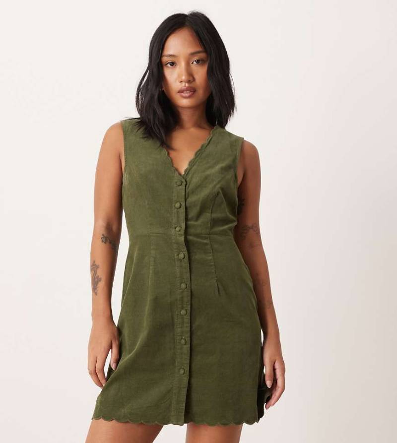 Nobody's Child Petite - Leone - Latzkleid in Grün von Nobody's Child Petite