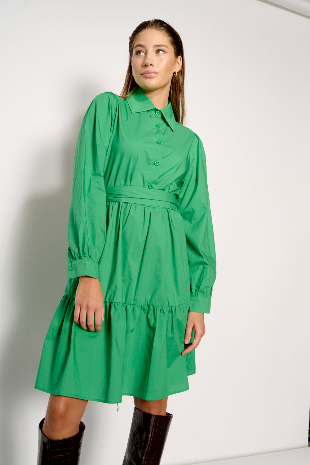 Pixi Shirt Dress Green von Noella