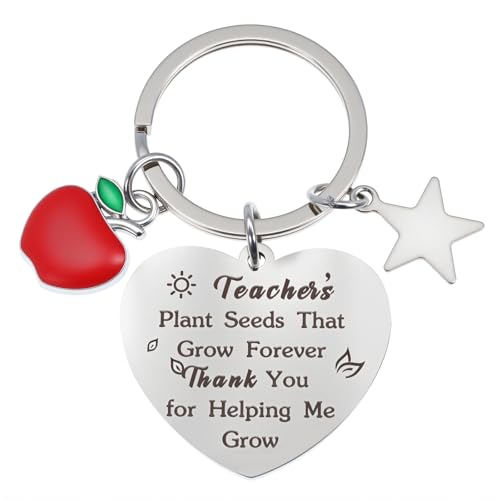Nogeqi 2 Stück Lehrerin Geschenk Schlüsselanhänger Danke Abschiedsgeschenk Lehrerin Lehrer Erzieherin Dankeschön Geschenke, Herz Schlüsselanhänger Danke Abschied Grundschule Lehrer Geschenk von Nogeqi