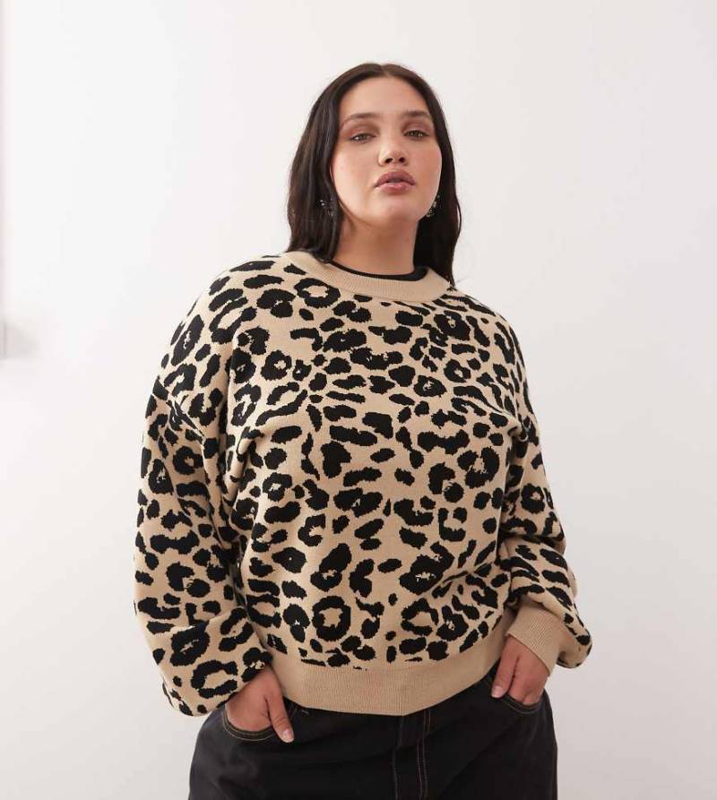 Noisy May Curve - Strickpullover mit Rundhalsausschnitt und Leopardenmuster-Schwarz von Noisy May Curve