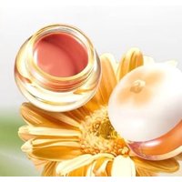 Nono Notes - Water Lip Cream - G01-G03 #G02 Milk Coffee - 5.5g Nono Notes - Water Lip Cream - G01-G03 #G02 Milk Coffee - 5.5g von Nono Notes