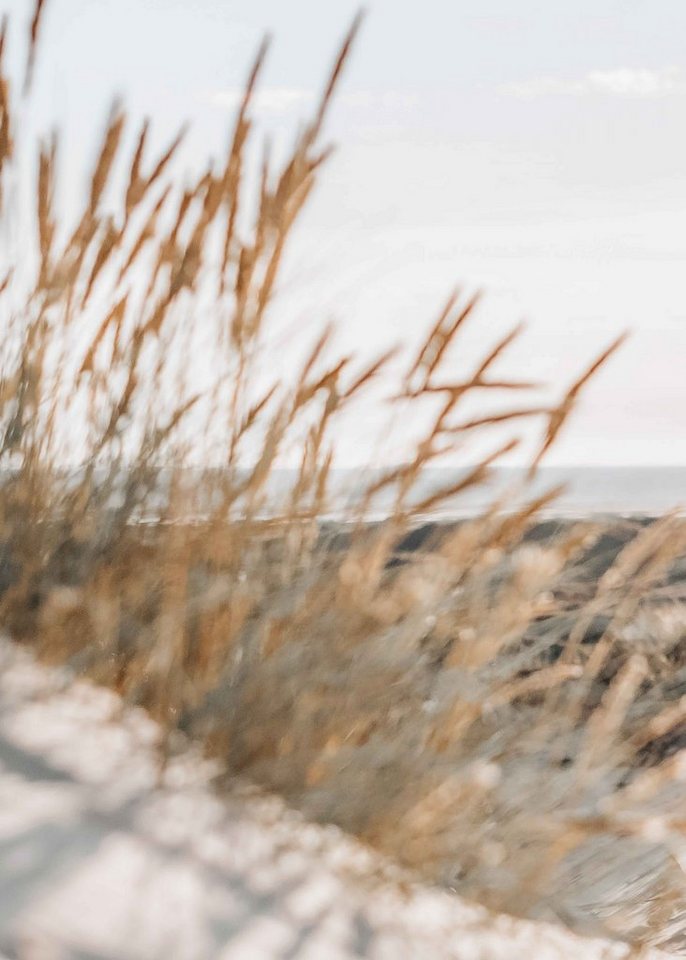 Noorlys Sweatshirt CLASSIC von Noorlys