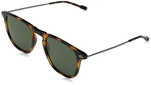 Nooz Sonnenbrille polarisiert für Herren und Damen - UV-Schutz Kategorie 3 - Farbe Tortoise - mit Kompakt-Etui - DINO Kollektion von Nooz