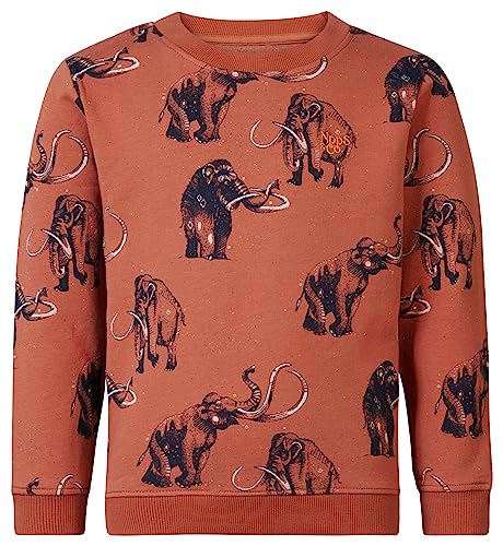 Noppies Pullover Westchase - Farbe: Chutney - Größe: 104 von Noppies