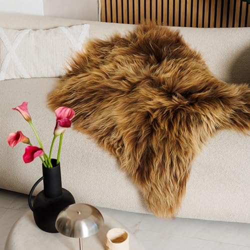 Isländisches Schaffell Braun ca. 110–120 cm – Echtes Lammfell Langhaar – Naturfell XXL – Weich & Rustikal – Deko-Fell für Sofa, Sessel & Boden Isländisches Schaffell Braun ca. 110–120 cm – Echtes Lammfell Langhaar – Naturfell XXL – Weich & Rustikal – Deko-Fell für Sofa, Sessel & Boden von Northsheep