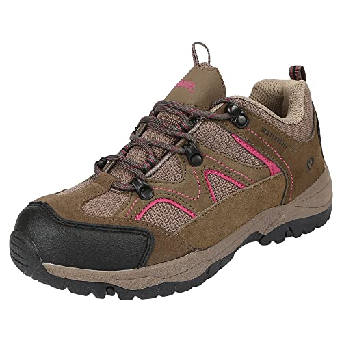 Northside Damen Snohomish Low Wanderschuh, Stein/Beere, 36.5 EU von Northside