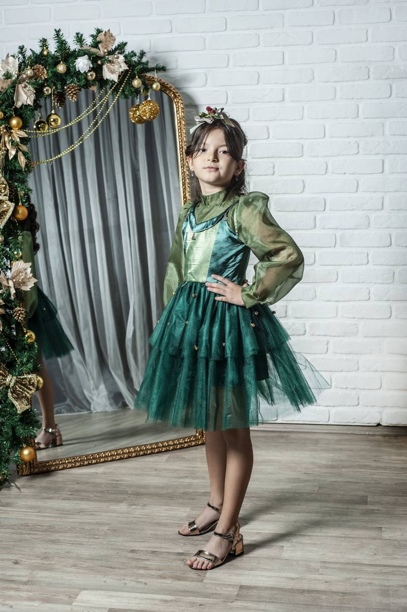 Grüne Weihnacht Kinderkostüm Für Mädchen, Langarm Prinzessinnenkostüm Mit Krone Grüne Weihnacht Kinderkostüm Für Mädchen, Langarm Prinzessinnenkostüm Mit Krone von NossiByCostume