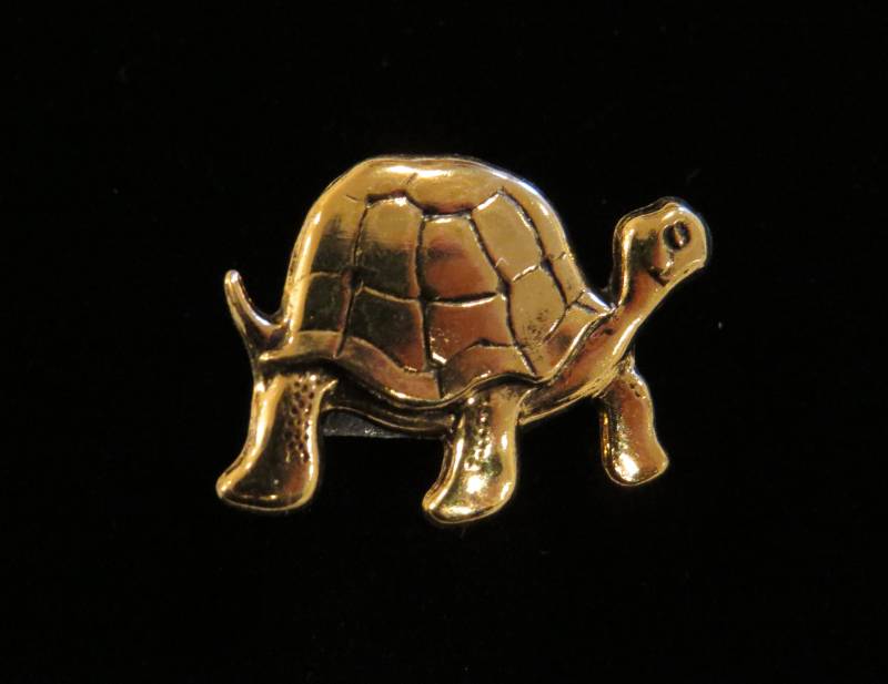 Schildkröte Pin Snapper Loggerhead Reptil Lederrücken Slowpoke Cooter Tg010 von NostalgicCharm