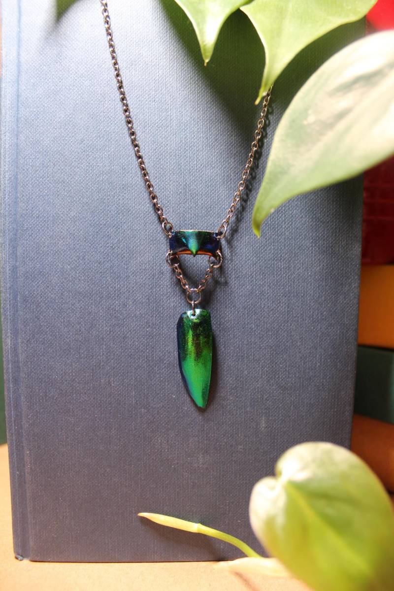Kette Mit Echten Insekten-Teilen Als Anhänger , Hippie/ Boho Schmuck in Grün Metallic/Ankerkette Kette Mit Echten Insekten-Teilen Als Anhänger , Hippie/ Boho Schmuck in Grün Metallic/Ankerkette von NothingJustRaven