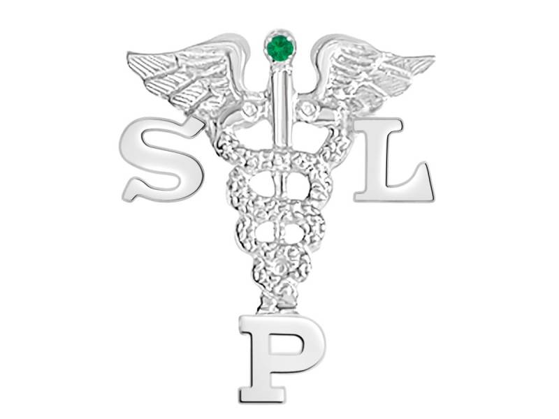 Slp Abschlussnadel Für Ansprache in Silber Slp Abschlussnadel Für Ansprache in Silber von NursingPins