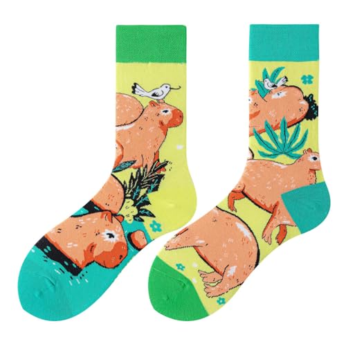 NxnChc Lustige Socken Für Damen Und Herren Unisex Viele Capybara Motive Tier Essen Obst Sport Kunst Aus Baumwolle Geschenk Asymmetrische Muster Links Und Rechts von NxnChc