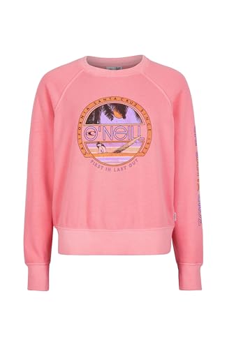 O'NEILL Damen Cult Shift Crew Sweatshirt, 14012 Diva Pink, L-XL von O'Neill