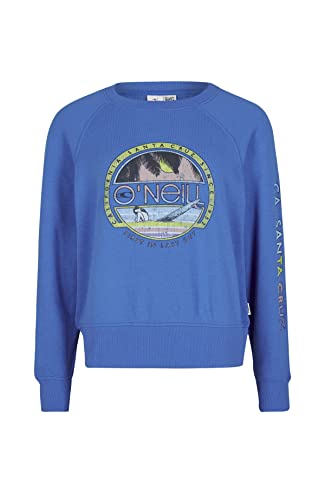 O'NEILL Damen Cult Shift Crew Sweatshirt, 15045 Princess Blue, M/L von O'Neill