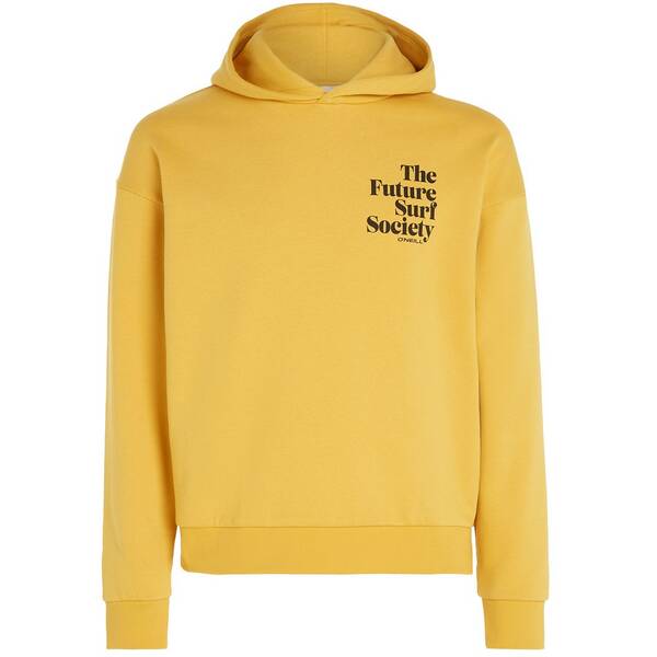 O'NEILL Damen Kapuzensweat FUTURE SURF SOCIETY HOODIE von O'Neill