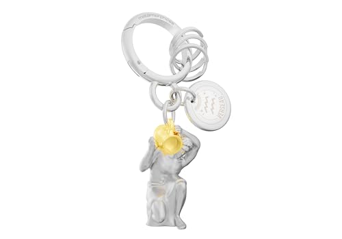 METALMORPHOSE - Schlüsselanhänger Charms Sternzeichen Wassermann - Sternbild Wassermann - Geschenk für Männer, Frauen und Kinder von O meta[l]morphose