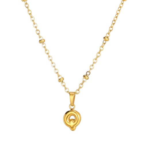 OAKKY Damen Edelstahl Initiale Brief Halsketten zierlich vergoldet Alphabet Charm Halskette Q von OAKKY