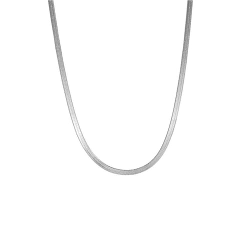 OAKKY Unisex Edelstahl 2MM Zarte Zierliche Hip Hop Rock Klingenform Flach Fischgrätenschlange Choker Halskette Punk Aussage Band Silber 15.7" OAKKY Unisex Edelstahl 2MM Zarte Zierliche Hip Hop Rock Klingenform Flach Fischgrätenschlange Choker Halskette Punk Aussage Band Silber 15.7" von OAKKY