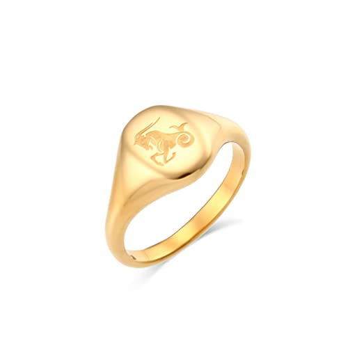 OAKKY Unisex Hip Hop 12 Konstellation Sternzeichen Muster Geschnitzt Ring Edelstahl Horoskop Astrologie Schmuck Erklärung Steinbock Größe 57 (18.1) von OAKKY