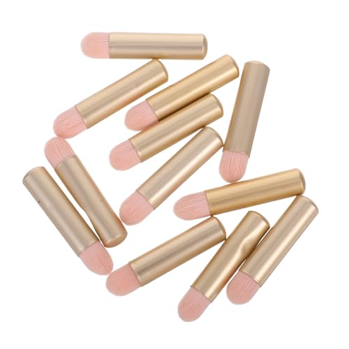 12 Make Up Pinsel In Reisegröße Mini Pinsel Für Lidschatten Lippenkonturenstift Und Concealer – Leichter Und Einfach Zu Transportierender Make Up von OATIPHO