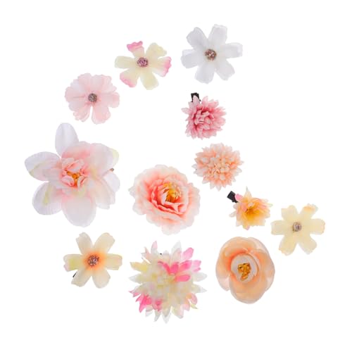 OATIPHO 12stücke Teiliges Set Mit Blumen-haarspangen Leicht Für Verschiedene Anlässe Geeignet Inklusive Haarschmuck Für Frauen Und Mädchen von OATIPHO